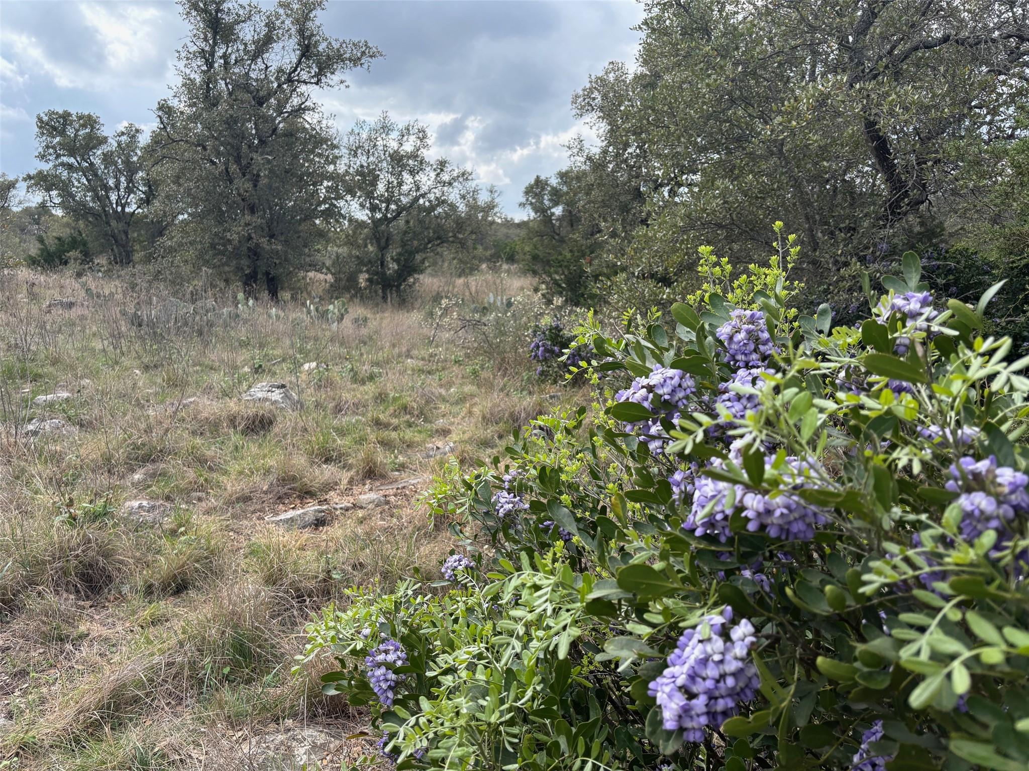 Lot 34 Eagle Feather Kingsland TX 78639
