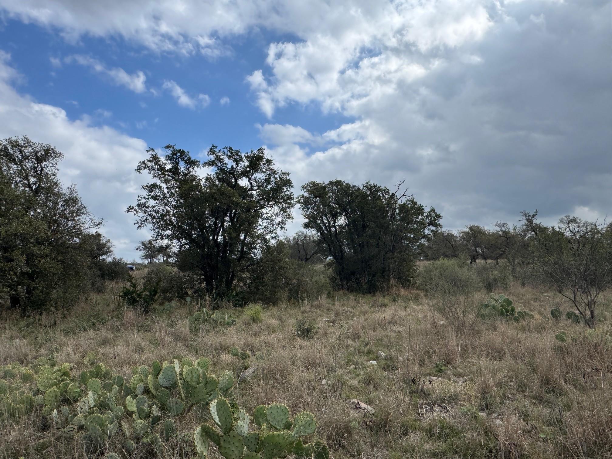 Lot 34 Eagle Feather Kingsland TX 78639