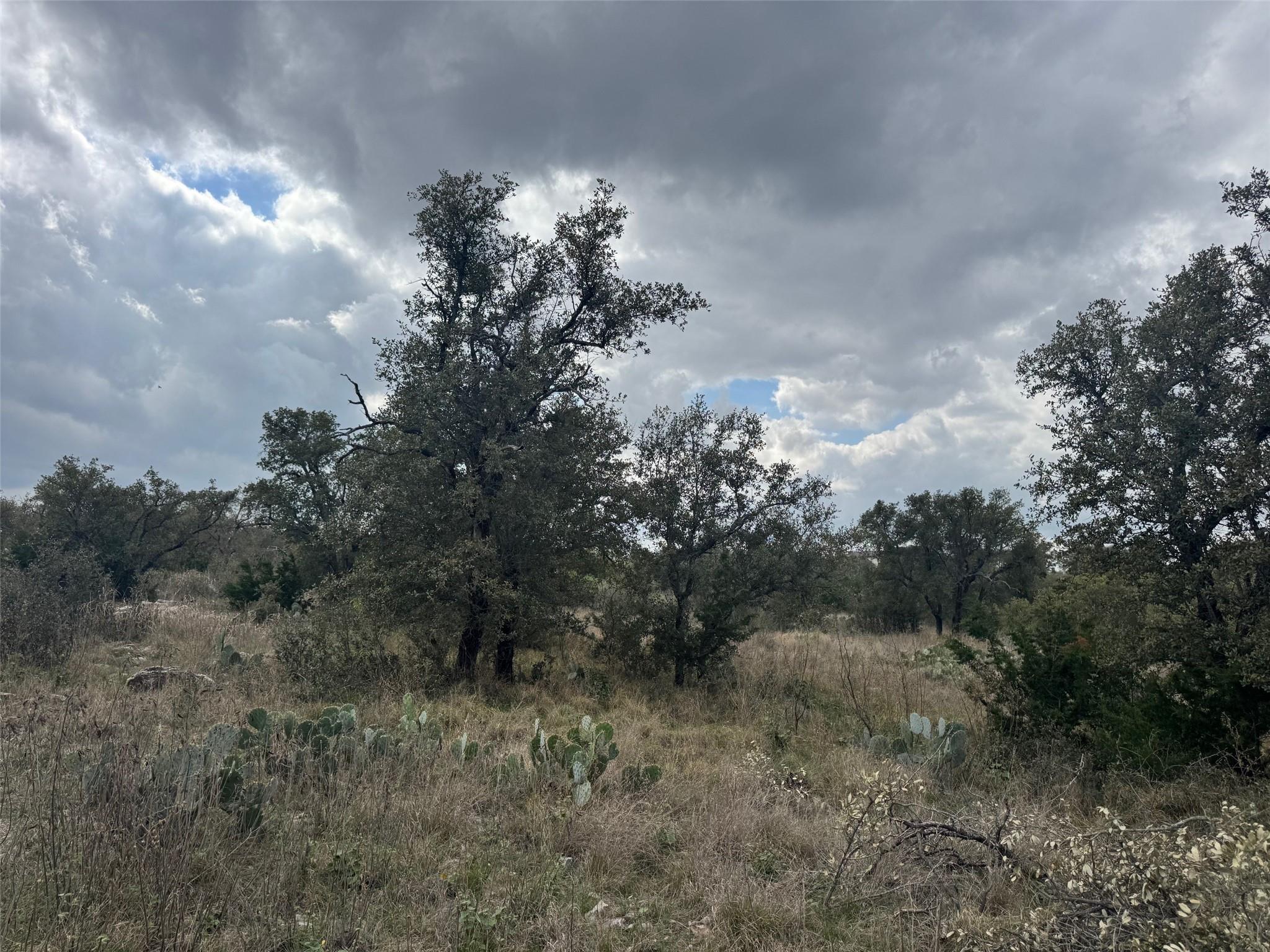 Lot 34 Eagle Feather Kingsland TX 78639