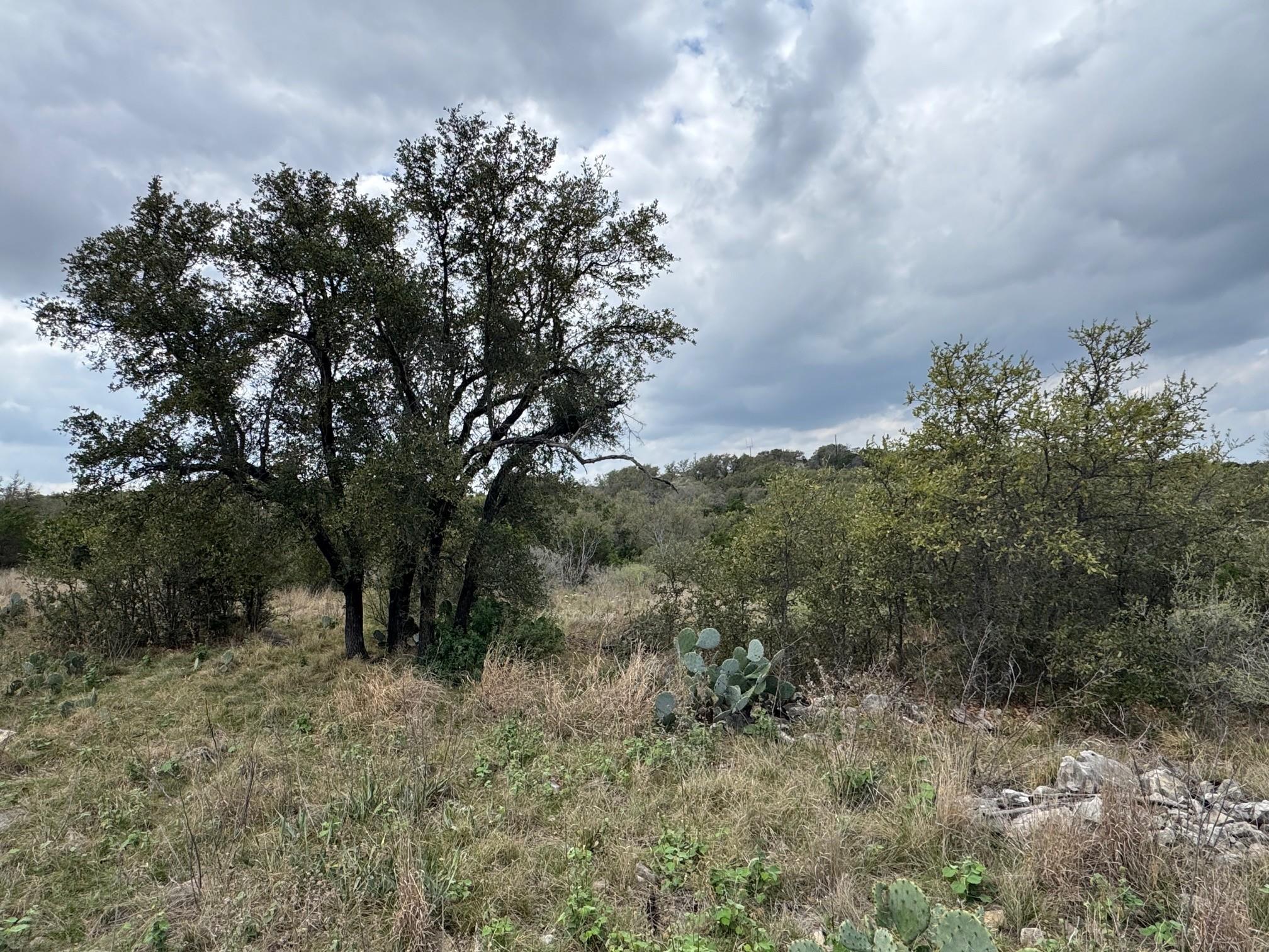 Lot 34 Eagle Feather Kingsland TX 78639