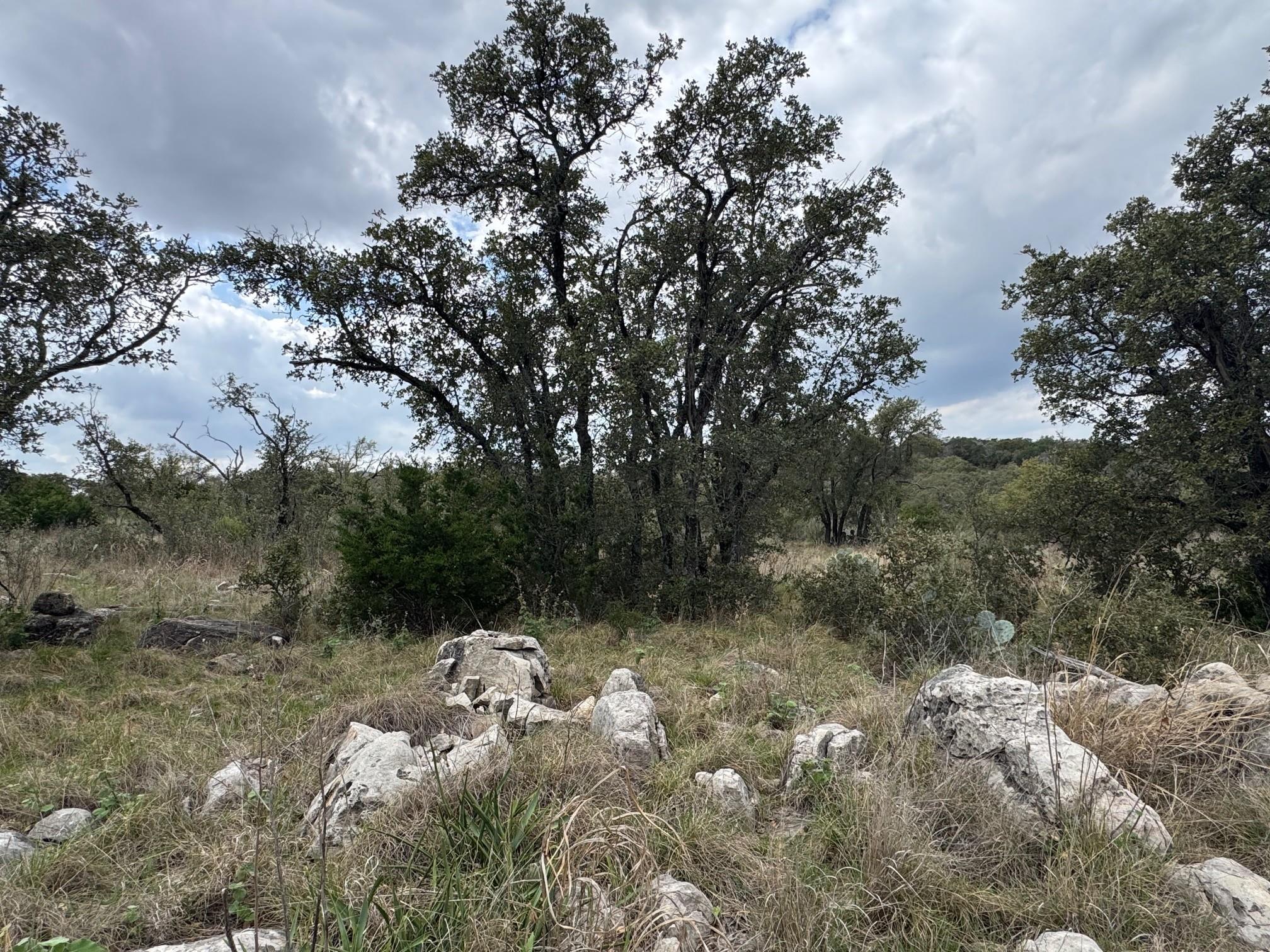Lot 34 Eagle Feather Kingsland TX 78639