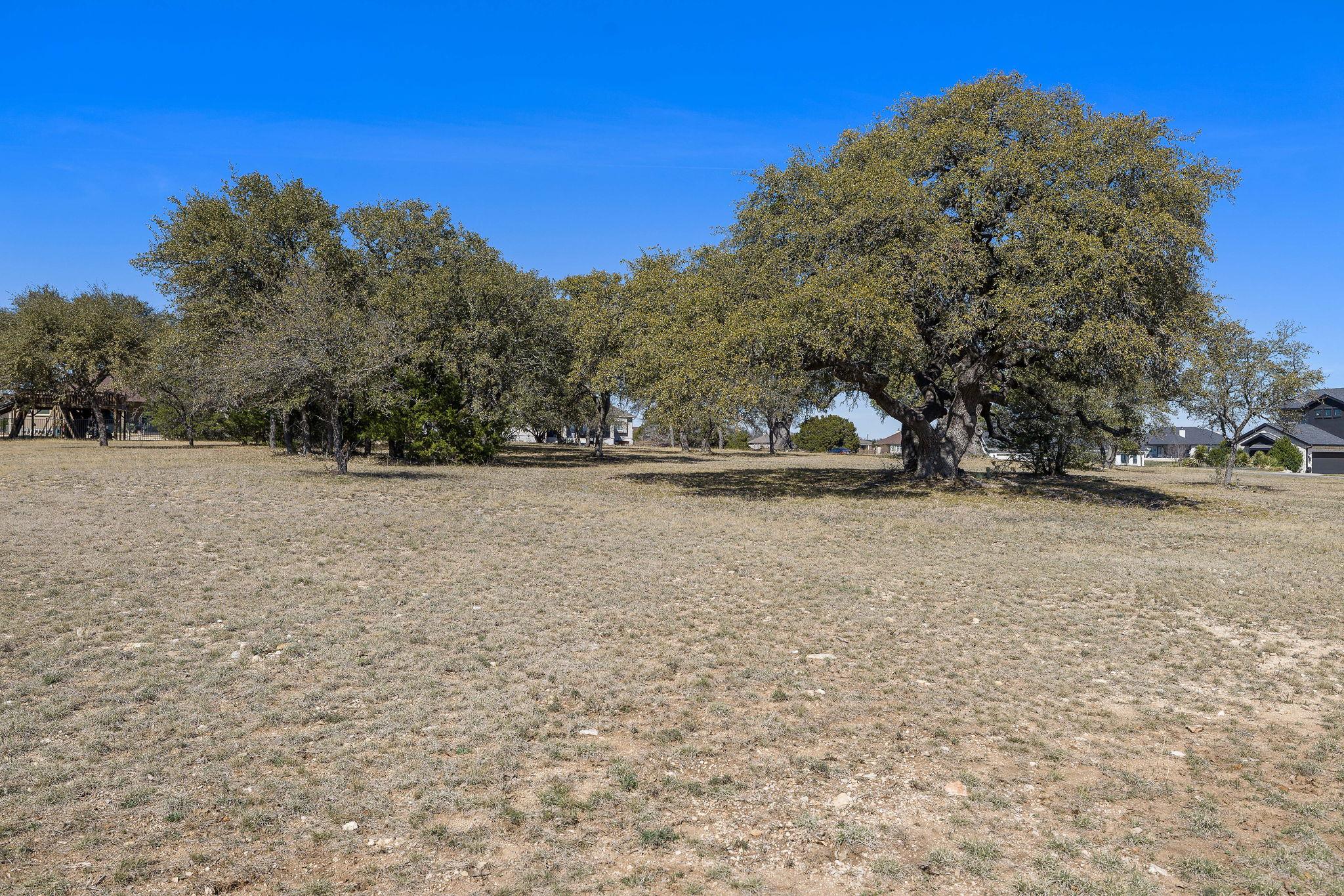 100 Green Branch Court Liberty Hill TX 78642