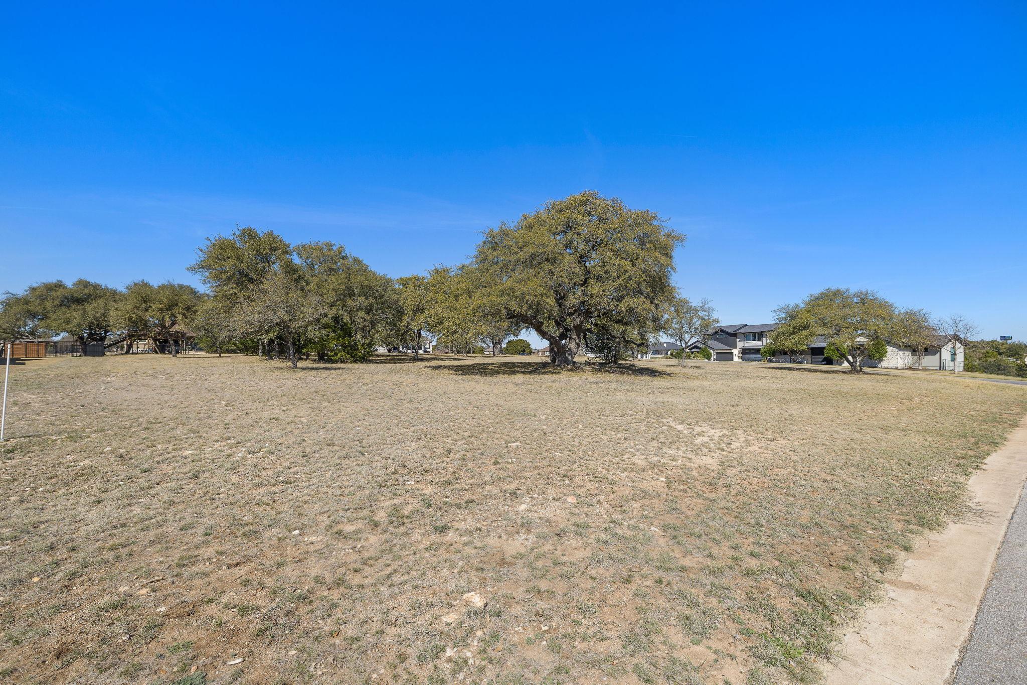 100 Green Branch Court Liberty Hill TX 78642