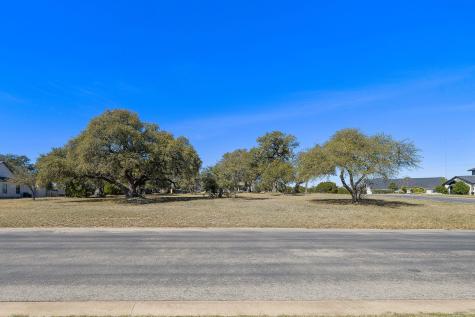 100 Green Branch Court Liberty Hill TX 78642
