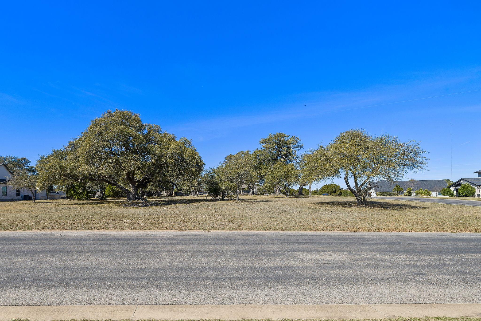 100 Green Branch Court Liberty Hill TX 78642