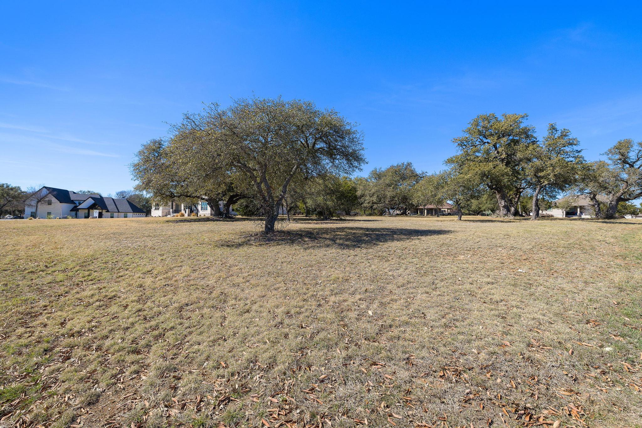 100 Green Branch Court Liberty Hill TX 78642