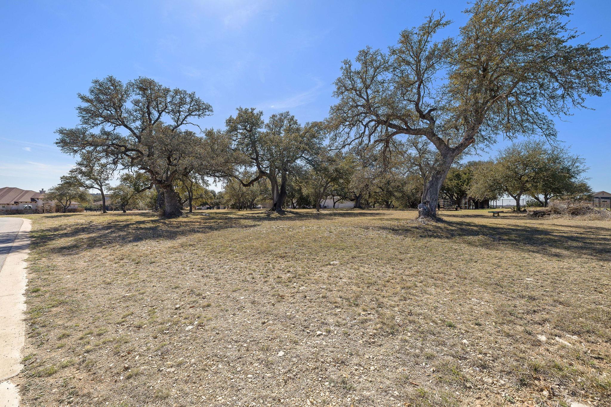 100 Green Branch Court Liberty Hill TX 78642