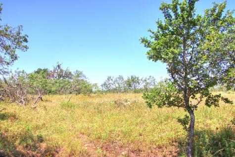 Lot 6 Rm 1323 Willow City TX 78675