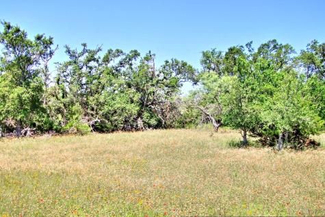 Lot 6 Rm 1323 Willow City TX 78675
