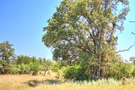 Lot 6 Rm 1323 Willow City TX 78675
