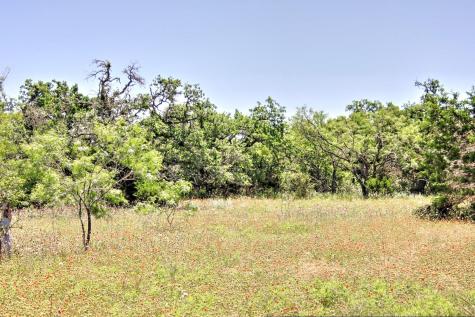 Lot 6 Rm 1323 Willow City TX 78675