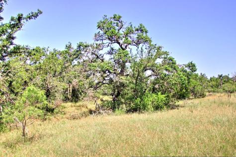 Lot 6 Rm 1323 Willow City TX 78675