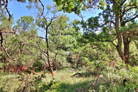 Lot 6 Rm 1323 Willow City TX 78675