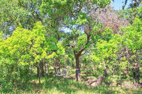 Lot 6 Rm 1323 Willow City TX 78675