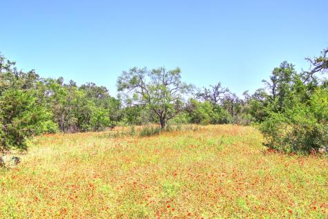 Lot 6 Rm 1323 Willow City TX 78675