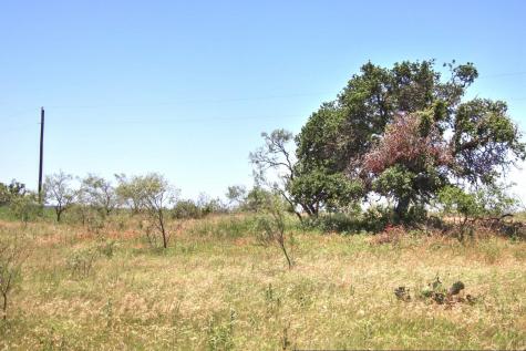 Lot 6 Rm 1323 Willow City TX 78675