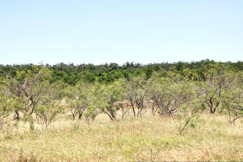 Lot 6 Rm 1323 Willow City TX 78675