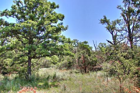 Lot 6 Rm 1323 Willow City TX 78675