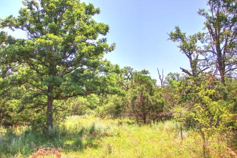Lot 6 Rm 1323 Willow City TX 78675
