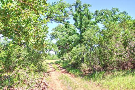 Lot 6 Rm 1323 Willow City TX 78675
