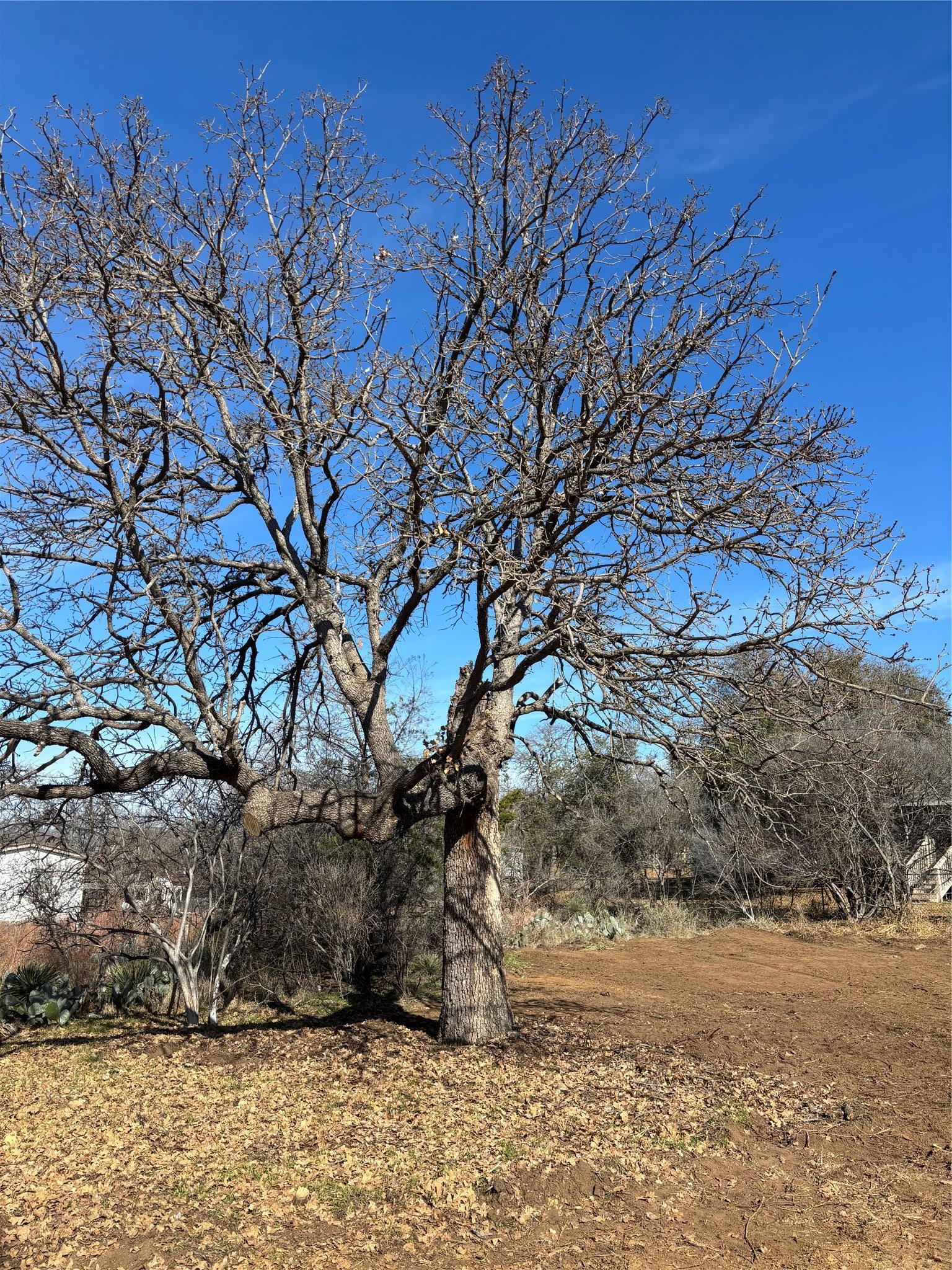 0 Castleshoals Drive Granite Shoals TX 78654