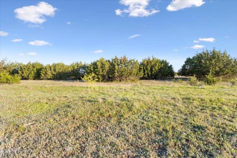 198 Cherry Laurel Lane Lampasas TX 76550