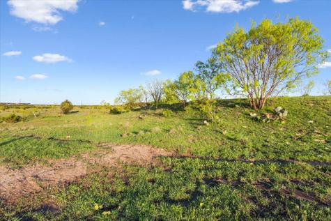 198 Cherry Laurel Lane Lampasas TX 76550