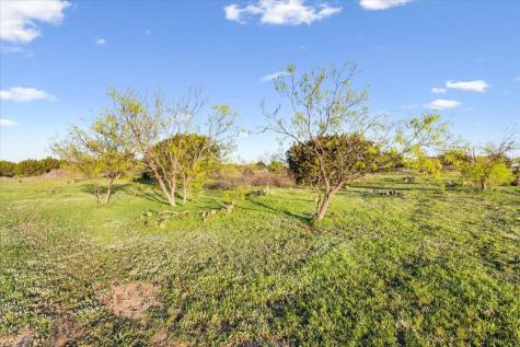 198 Cherry Laurel Lane Lampasas TX 76550