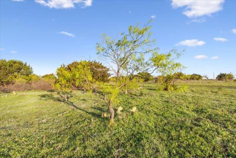 198 Cherry Laurel Lane Lampasas TX 76550