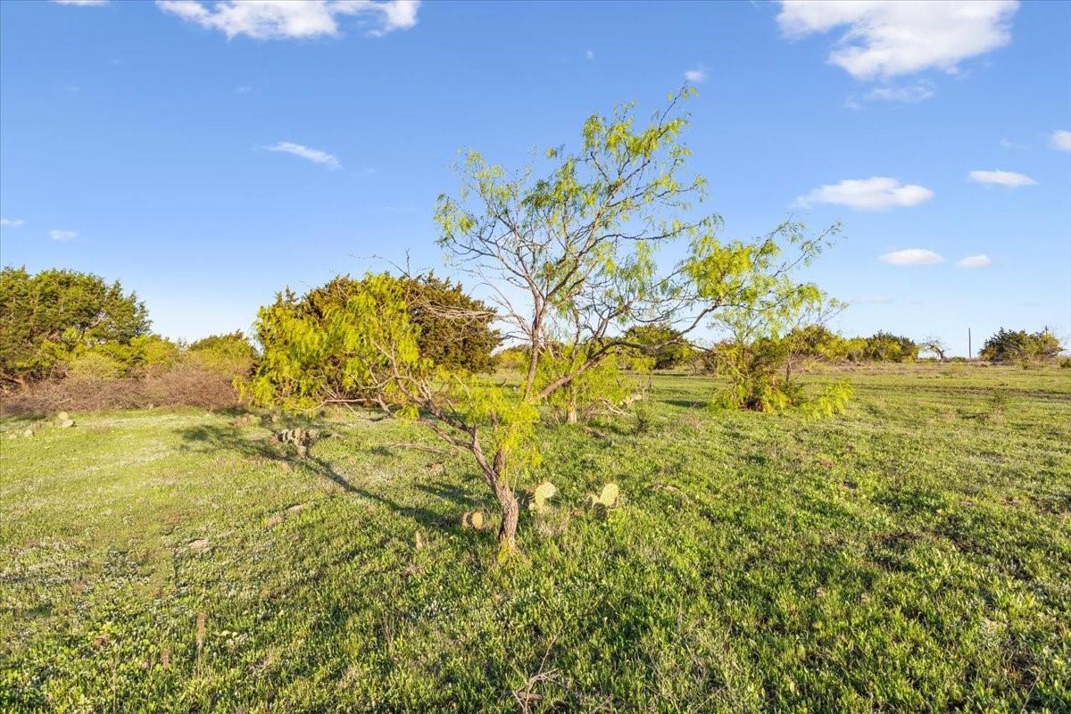 198 Cherry Laurel Lane Lampasas TX 76550