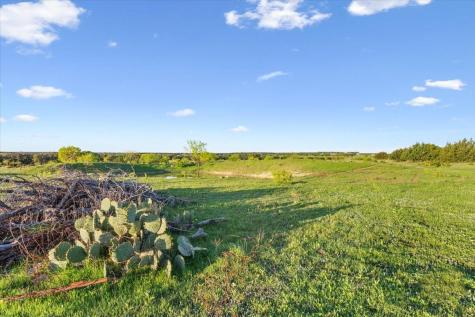 198 Cherry Laurel Lane Lampasas TX 76550