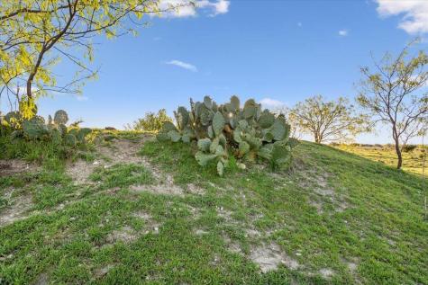 198 Cherry Laurel Lane Lampasas TX 76550