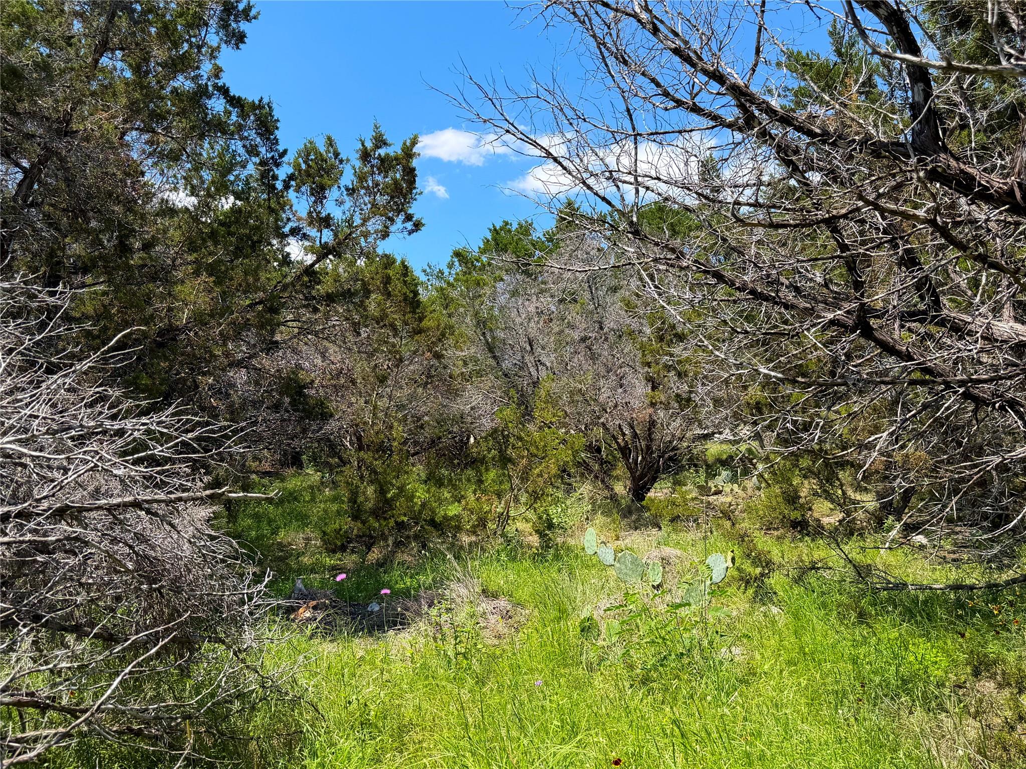 1841 Canyon Lake Drive Canyon Lake TX 78133