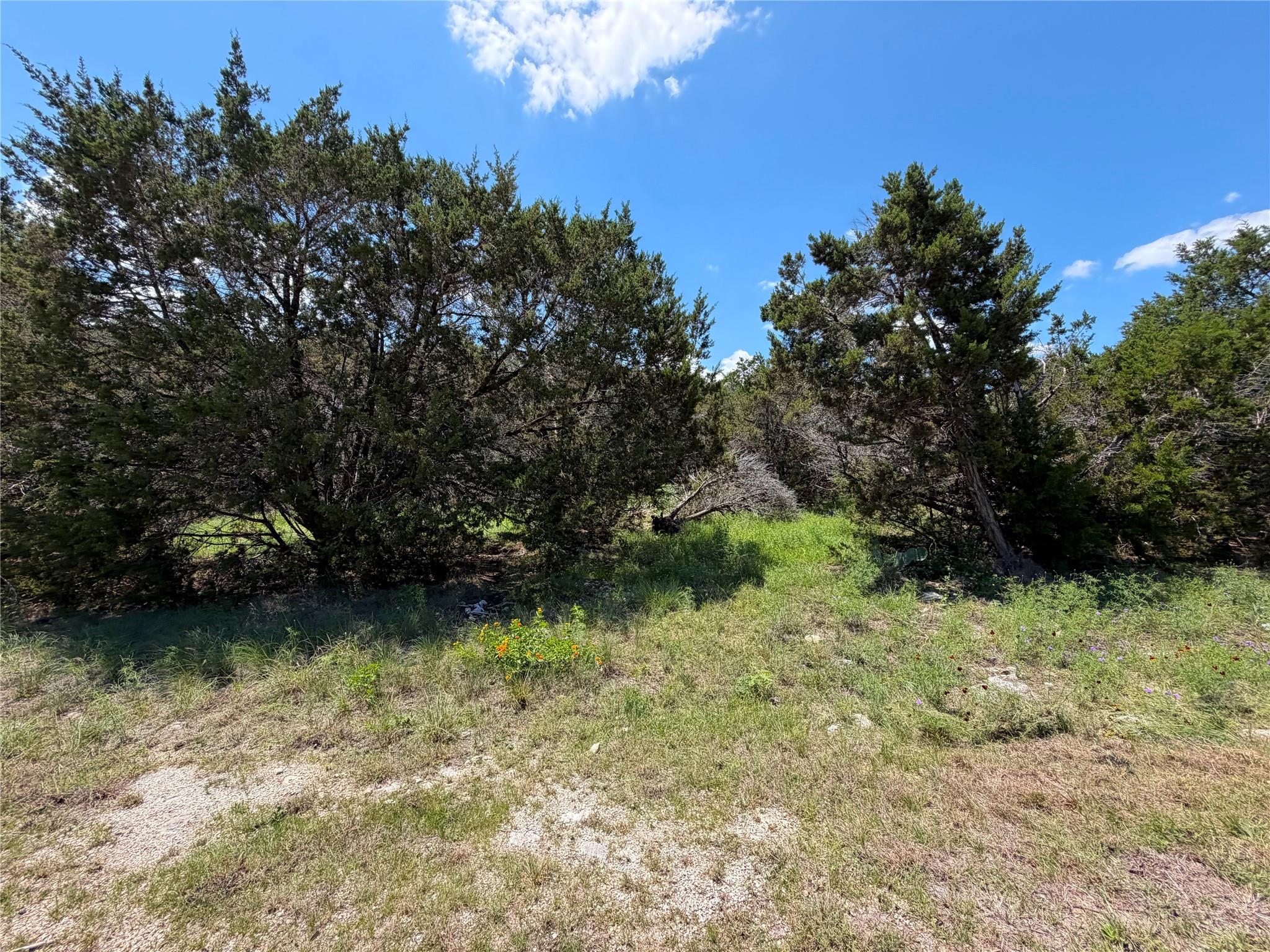 1841 Canyon Lake Drive Canyon Lake TX 78133