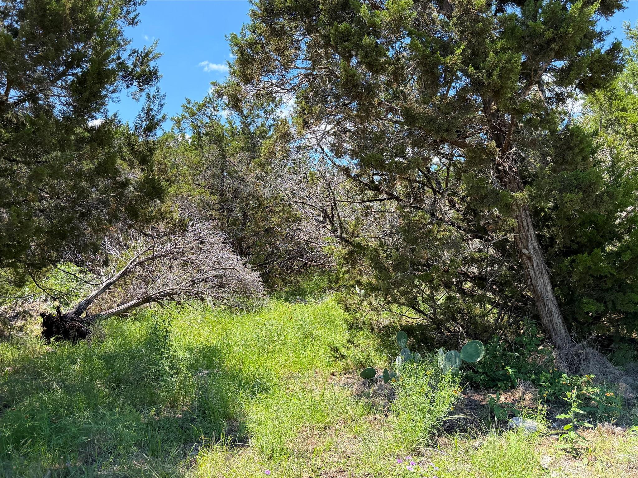 1841 Canyon Lake Drive Canyon Lake TX 78133