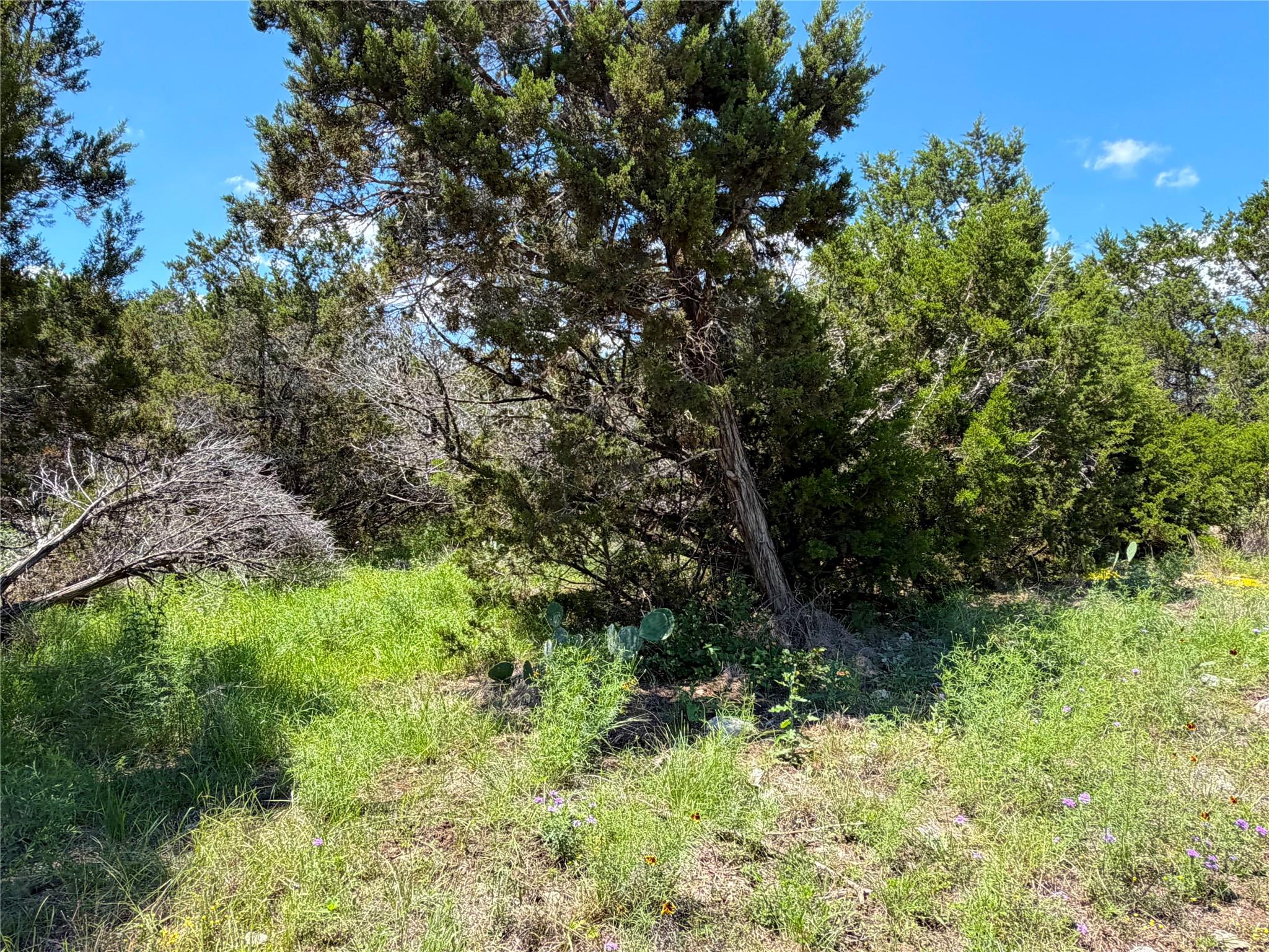 1841 Canyon Lake Drive Canyon Lake TX 78133