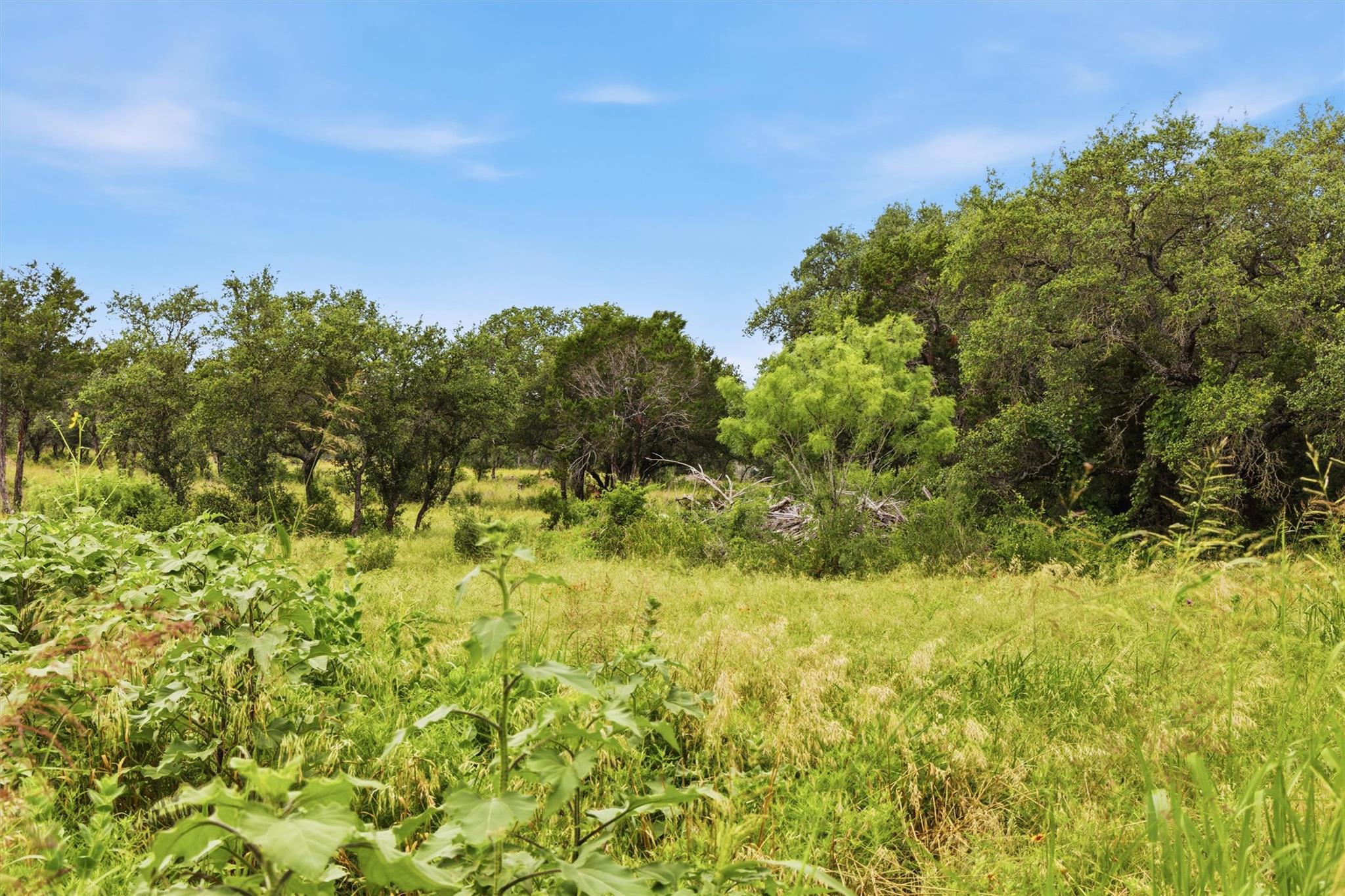 319 Sunset Drive Burnet TX 78611