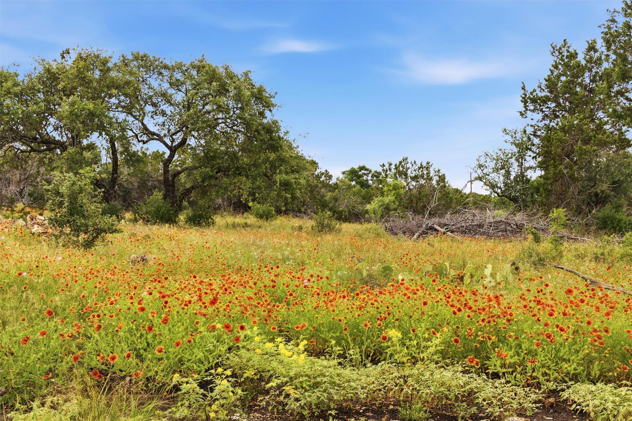 319 Sunset Drive Burnet TX 78611