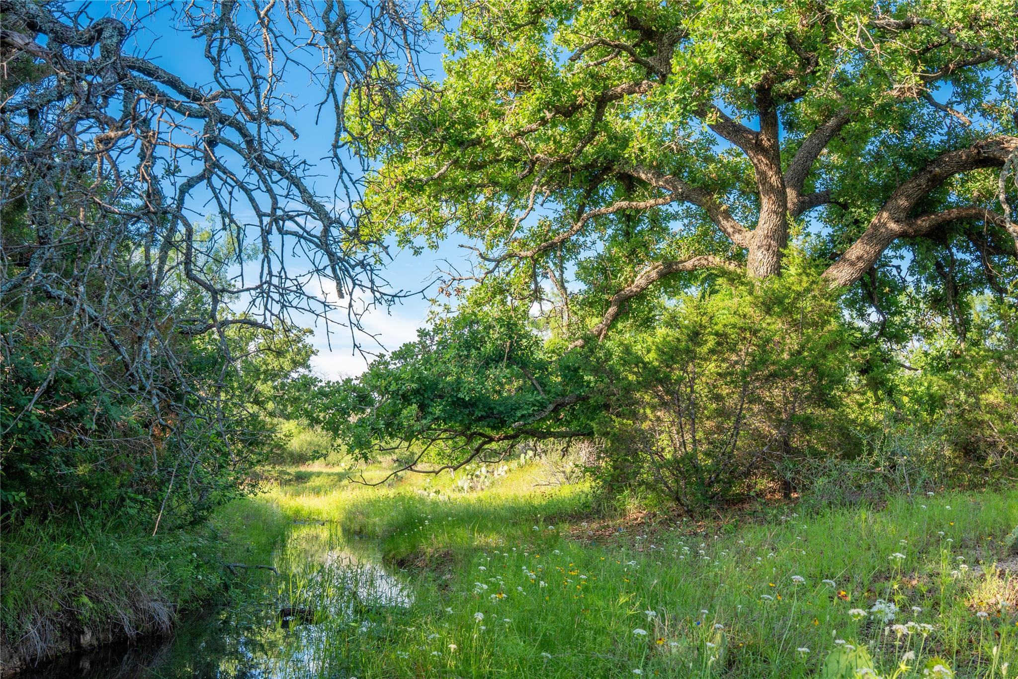 3501 Cr120 Marble Falls TX 78654