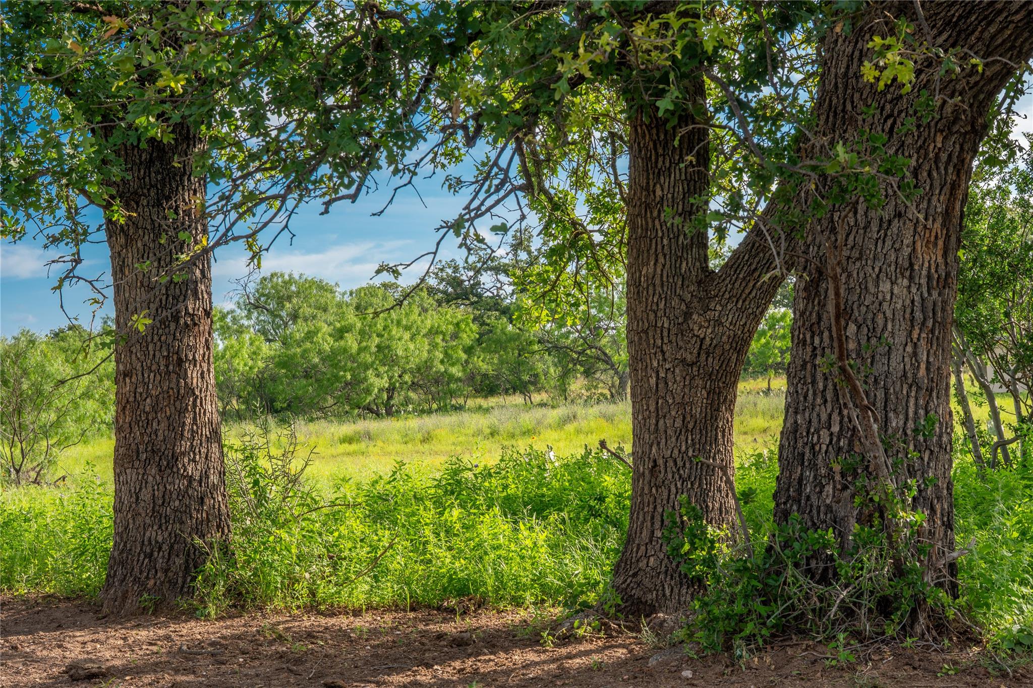 3501 Cr120 Marble Falls TX 78654