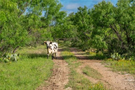 3501 Cr120 Marble Falls TX 78654