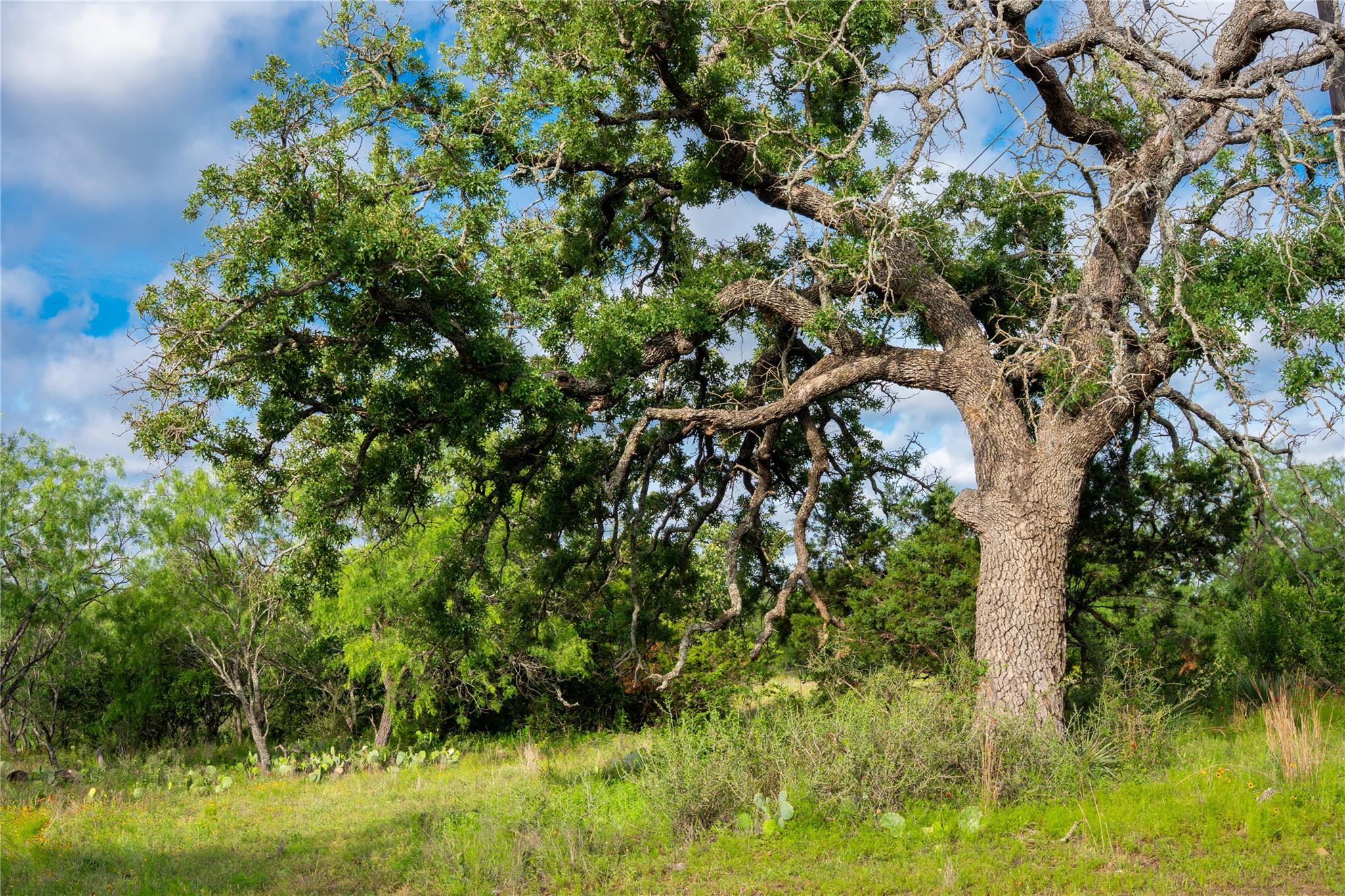 3501 Cr120 Marble Falls TX 78654