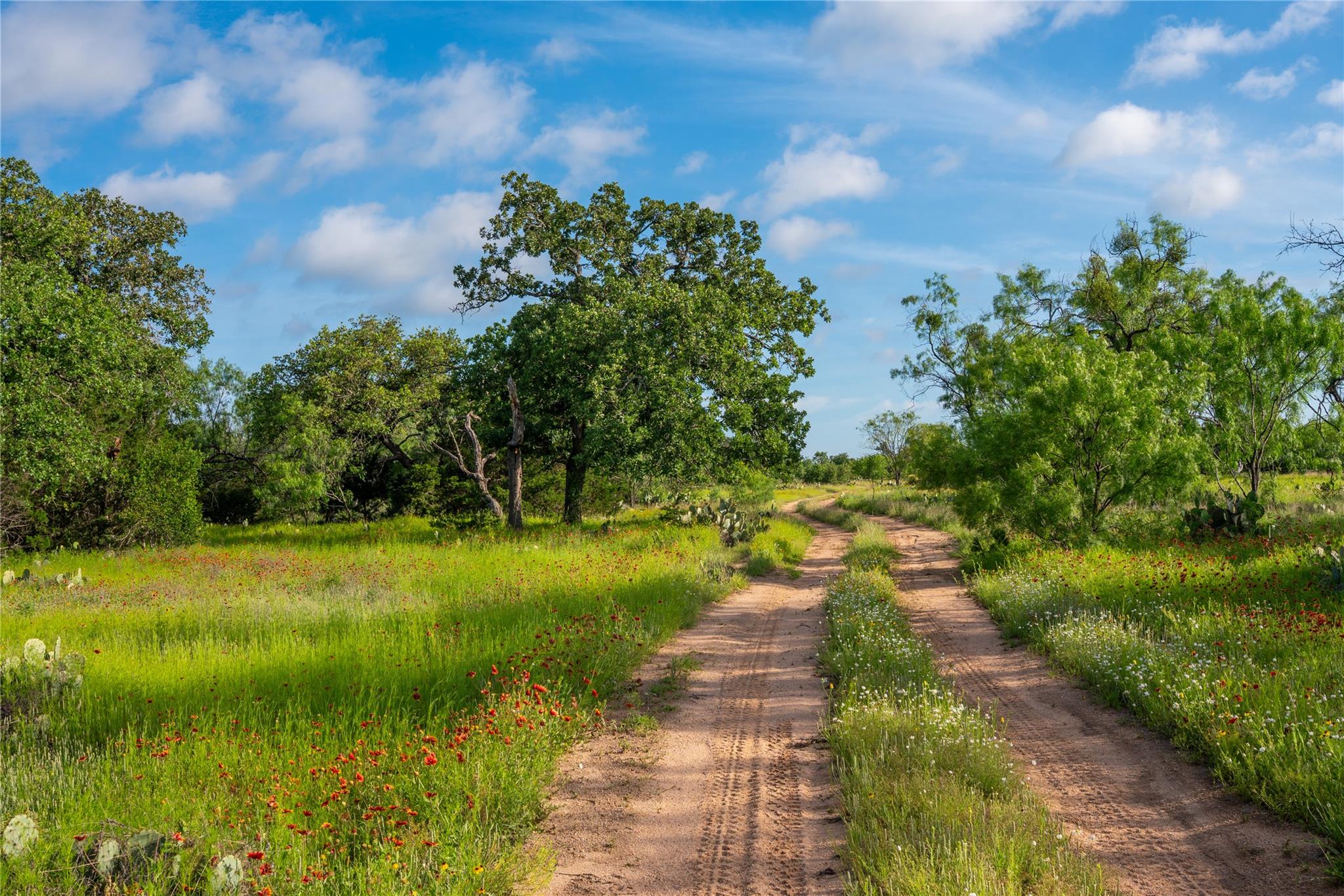3501 Cr120 Marble Falls TX 78654