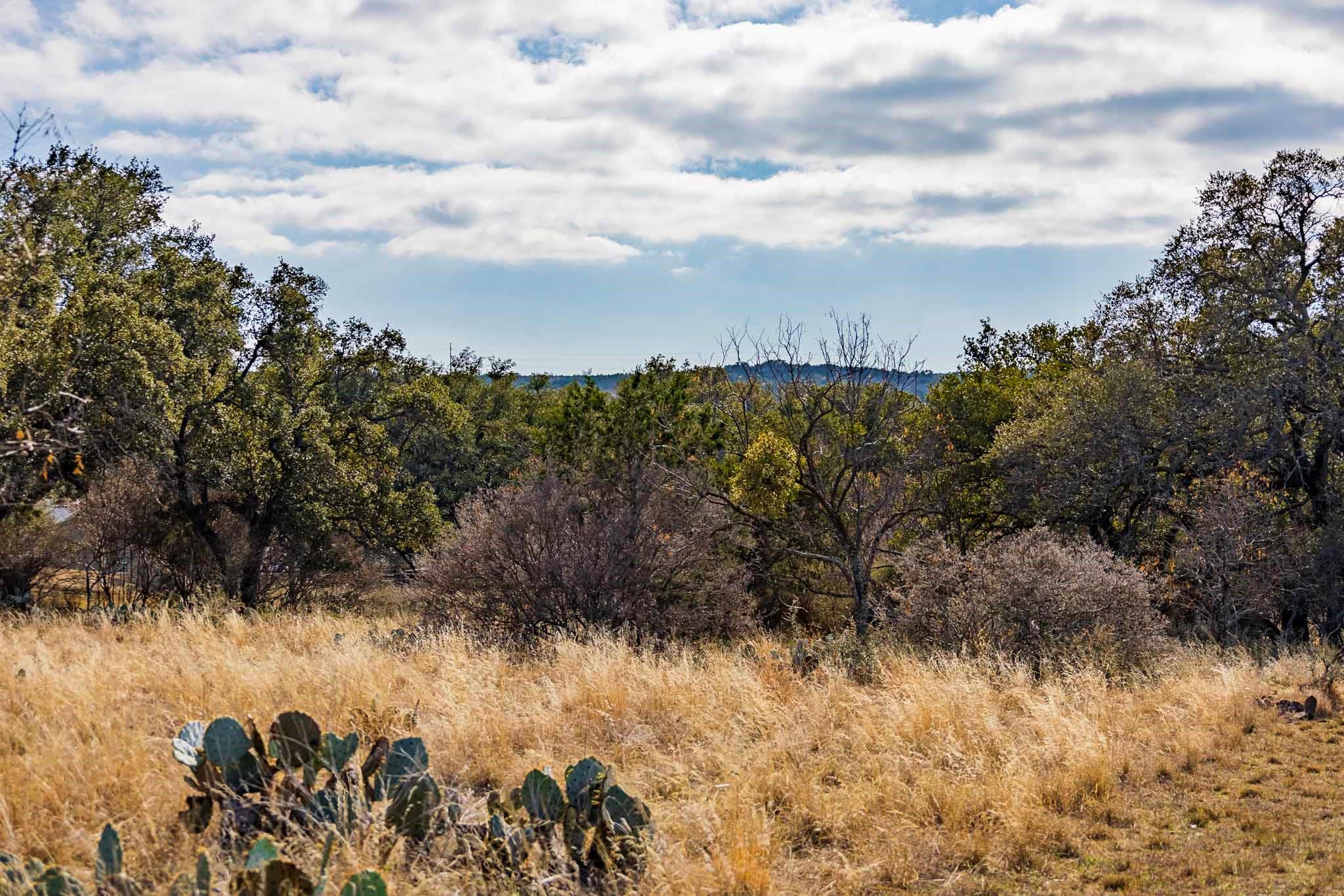 Lot 20 & 21 County Road 141 Burnet TX 78611