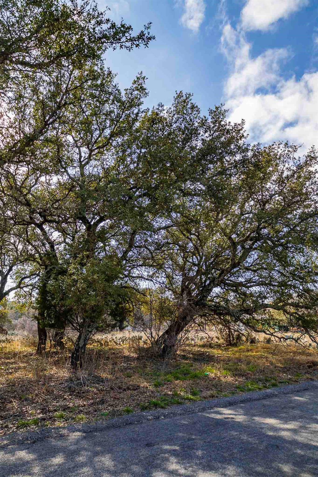 Lot 20 & 21 County Road 141 Burnet TX 78611