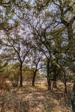 Lot 20 & 21 County Road 141 Burnet TX 78611
