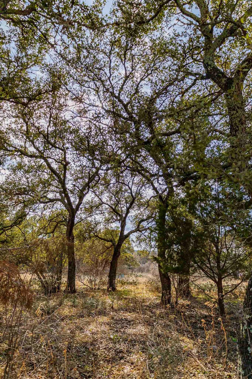 Lot 20 & 21 County Road 141 Burnet TX 78611