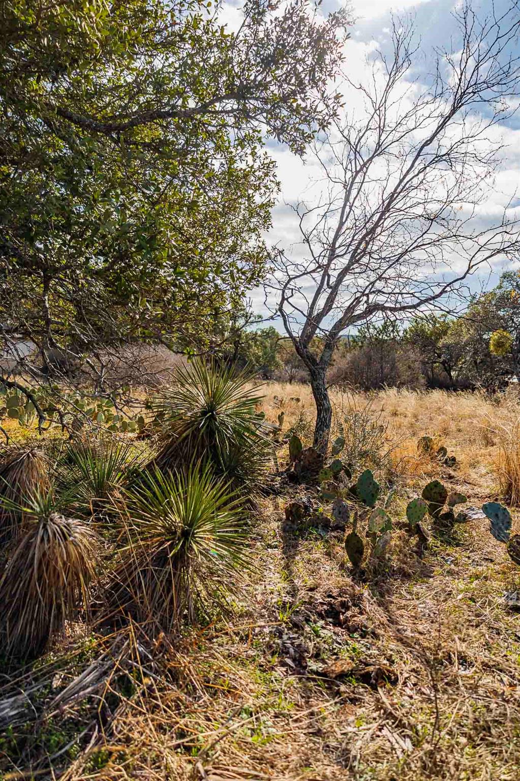 Lot 20 & 21 County Road 141 Burnet TX 78611
