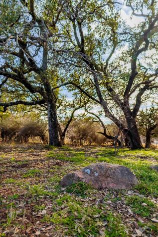 Lot 20 & 21 County Road 141 Burnet TX 78611