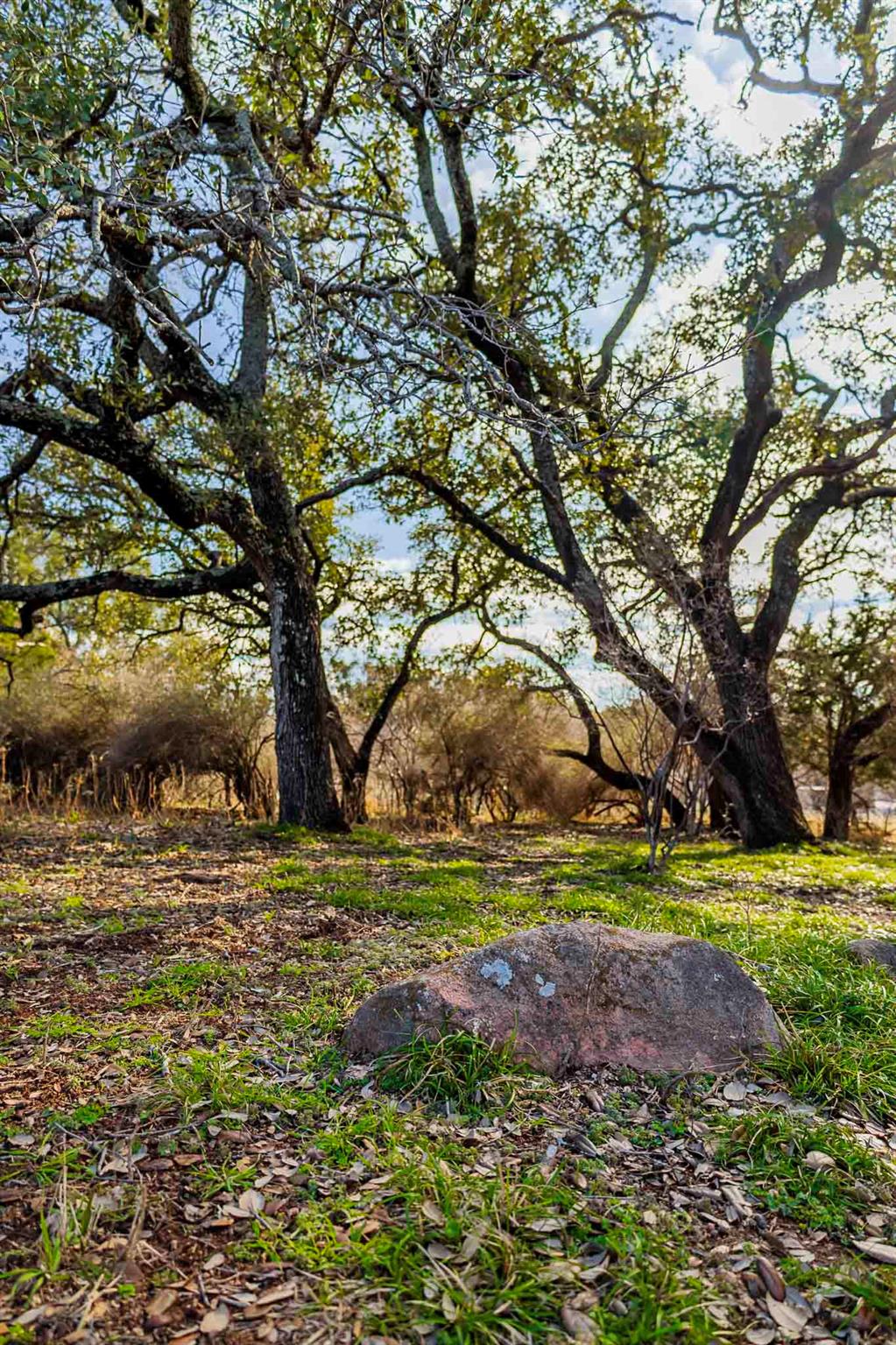 Lot 20 & 21 County Road 141 Burnet TX 78611